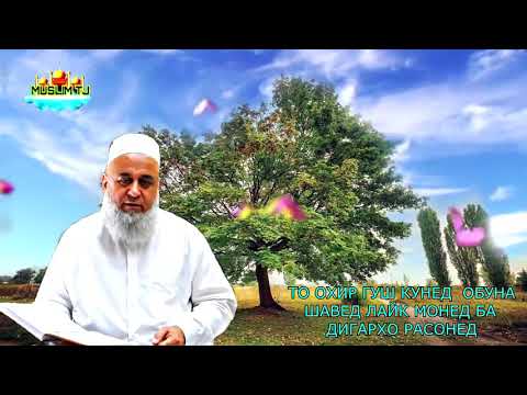 Видео: Хочи Мирзо дар бораи мохи шарифи рамазон ва руза