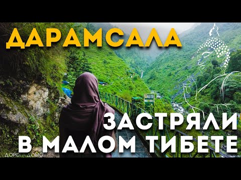Видео: Дарамсала - Тибет в индийских Гималаях. Водопад Багсу