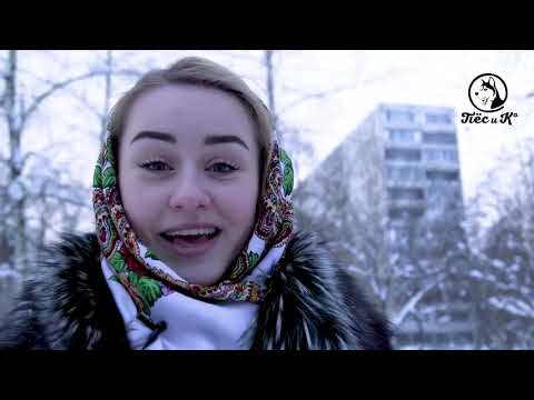 Видео: Такая порода  Кавалер кинг чарльз спаниель