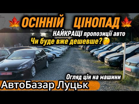 Видео: ОСІННІЙ ЦІНОПАД🍁 Чи буже вже дешевше🤔Огляд цін на АвтоБазарі в Луцьку✅ Автопідбір✅ #автопідбір #ціни