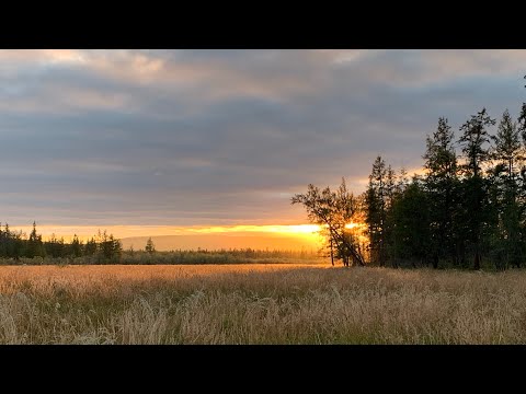 Видео: Эбээн Бытантай