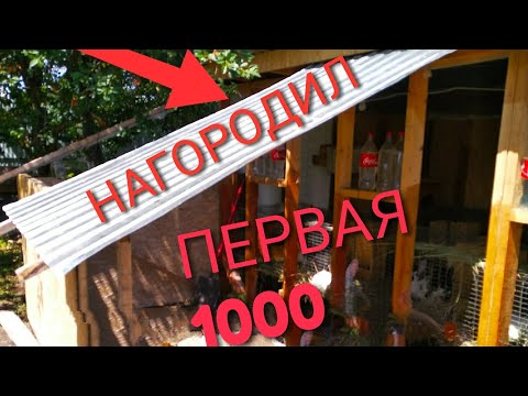 Видео: САРАЙ ДЛЯ КРОЛИКОВ.Кролики в помещении. Жизнь в селе!