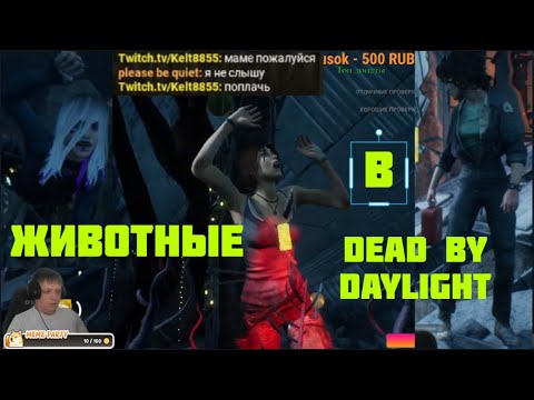 Видео: Два Животных-Приседала #1 - Dead by Daylight