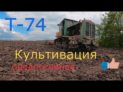 Видео: Трактор Т-74 . Культивируем перед посевом...