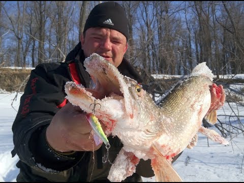 Видео: В погоне за настоящим трофеем со льда (3 серия)