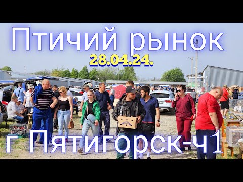 Видео: Голуби цены Птичий рынок г Пятигорск -ч1