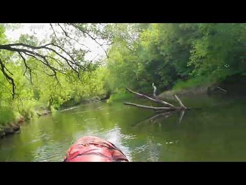 Видео: Сплав р. Вожа
