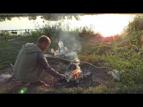 Видео: Ловля карпа в сентябре.