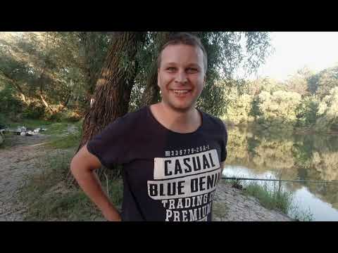 Видео: ЯСЬКИ МНОГО КАРПОВ