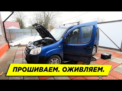 Видео: Заводим Suzuki После Автоэлектрика. Прошиваем Fiat Doblo, не подключиться к машине.