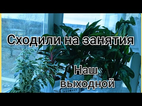 Видео: Сходили на занятия/Наш выходной/Глажу бельё в сад/