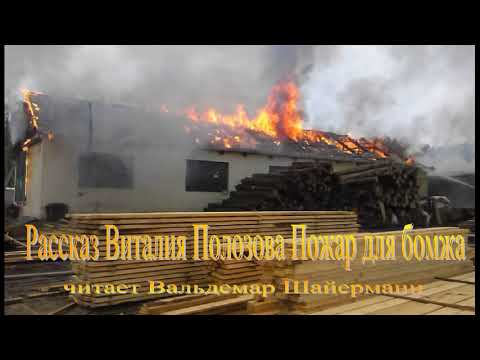 Видео: Рассказ Виталия Полозова "Пожар для бомжа"