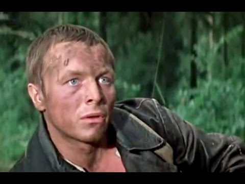 Видео: Ожидание полковника Шалыгина (1981)