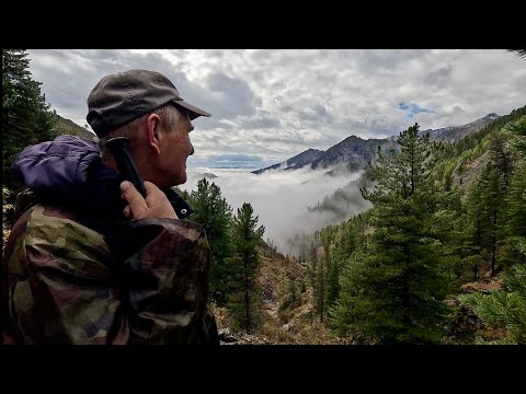 Видео: Аршанский водопад - царь водопад. Сентябрь 2024.