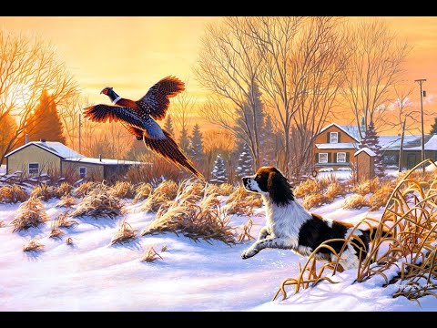 Видео: Կաքավի որս։ Հայ որսորդ։ Kaqavi vors. Охота на куропатку