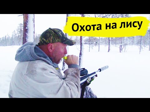 Видео: Охота на лису. Охотничьи приключения в Норвегии / NORDIC WILD HUNTER (Охотник и рыболов)