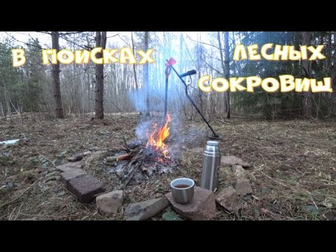 Видео: В поисках сокровищ с металлоискателем Minelab X-Terra 705!Первые весенние грибы 2025 года!