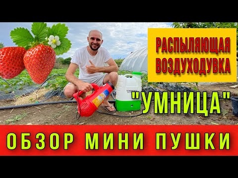 Видео: ОБЗОР: РАСПЫЛЯЮЩАЯ ВОЗДУХОДУВКА «УМНИЦА». Мини пушка