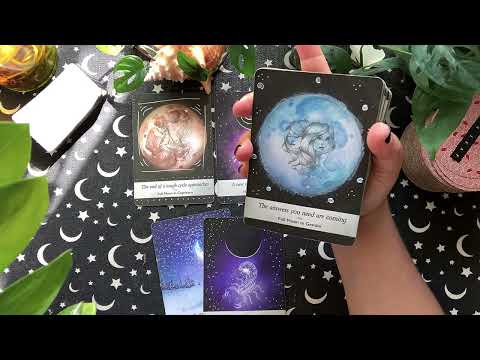 Видео: Близнецы ♊️🌕Луна Охотника: это предсказание удивило даже меня! 🤷🏽‍♀️👑