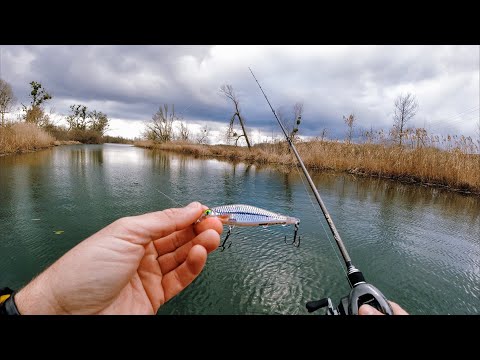 Видео: Эффективней этих приманок, сейчас ничего нет! Сплав по зимней реке рыбалка на спиннинг
