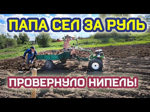 Видео: Возим навоз Aurora 1400 + OZKA 7.00-12. Папа сел за руль мотоблока: навоз и увезли тюк сена!