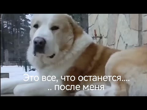 Видео: ЭТО ВСЕ, ЧТО ОСТАНЕТСЯ...