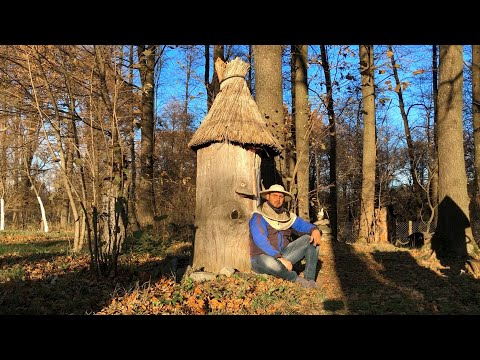 Видео: Підготовлюю КОЛОДУ до зимівлі! Як захистити бджіл від шкідників(миша)