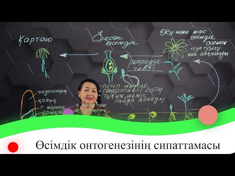 Видео: Өсімдік онтогенезінің сипаттамасы. 7 сынып.