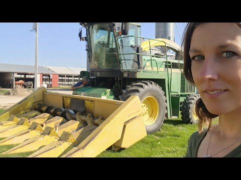 Видео: Что это за штука? [Сбор урожая]