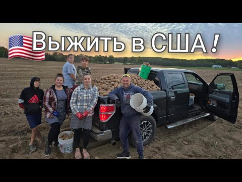 Видео: КАК ЛЮДИ ВЫЖИВАЮТ В США !!! БЕСПЛАТНАЯ КАРТОШКА !! СЕЛЬЧАНКА В АМЕРИКЕ!