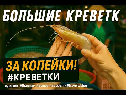 Видео: Огромные креветки за копейки во Вьетнаме!