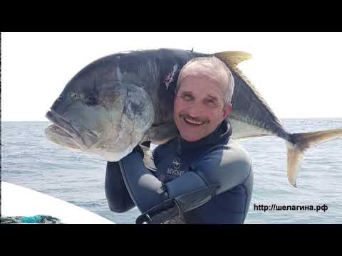 Видео: Особенности Шри-Ланкийской подводной охоты.