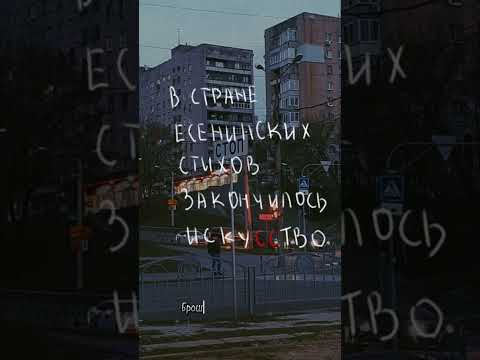 Видео: С. А. Есенин - Не ругайтесь. Такое дело! (Leif)