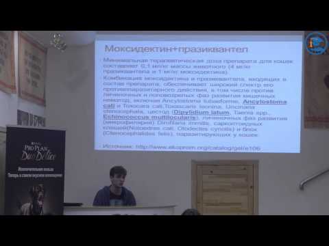 Видео: «Инсектоакарицидные препараты. Обзор», С. В. Коняев