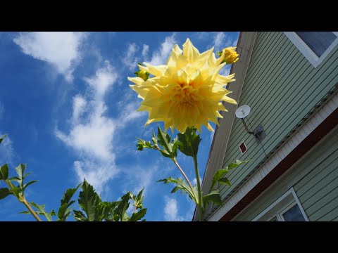 Видео: УСТЬ -  ИЛИМСК  СТАРЫЙ ГОРОД