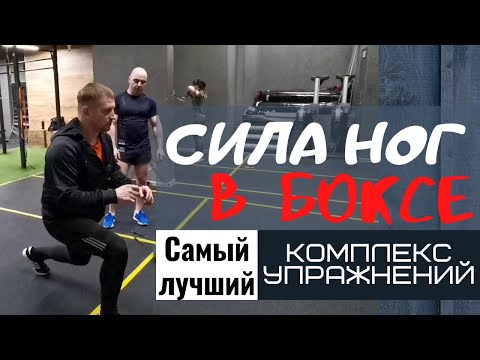 Видео: Самый полный комплекс упражнений на развитие силы ног // Увеличиваем скорость в боксе