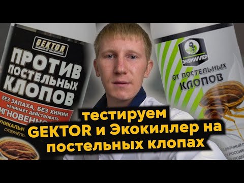 Видео: ГЕКТОР vs. ЭКОКИЛЛЕР. Эксперимент на клопах | Герадез