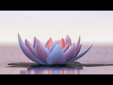 Видео: Медитация за изчистване на негативна енергия 🔥✨️🧘‍♀️