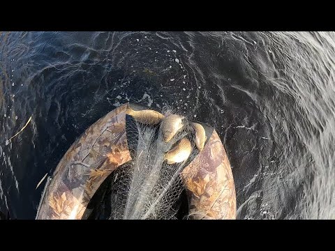 Видео: ОГРОМНЫЕ ОСЕННИЕ КАРАСИ НА НАКИДКУ!!! ОСЕНЬ РАДУЕТ УЛОВОМ...