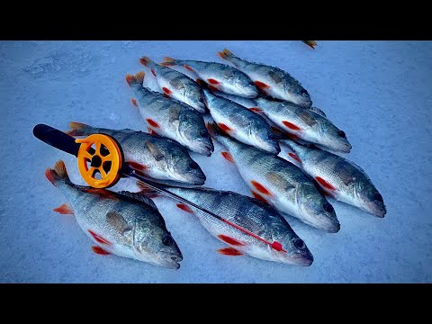 Видео: А под вечер ПОПАЛИ НА СЕНОКОС!!!