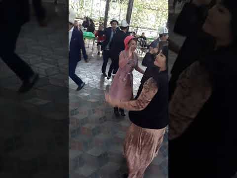 Видео: Суткон