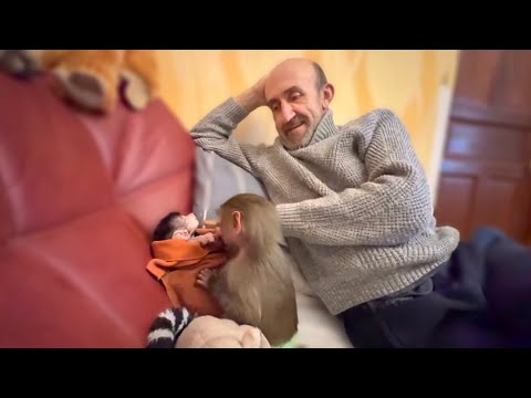 Видео: Люся ОЧЕНЬ ВНИМАТЕЛЬНО наблюдает за Владом, как он относится к Степашке?!