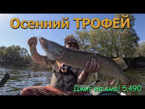 Видео: Осенний ТРОФЕЙ! Рыбалка на спиннинг. ЩУКА на ДЖИГ.
