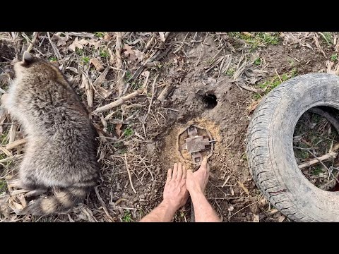 Видео: День на трассе Trapline, часть 6