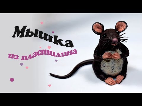 Видео: КАК ЛЕПИТЬ МЫШКУ ИЗ ПЛАСТИЛИНА ✿ HOW MAKING MOUSE FROM PLASTICINE