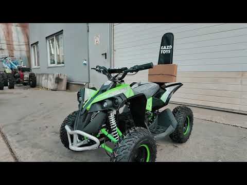 Видео: Електроквадроцикл Renegade E ATV 1200W48V