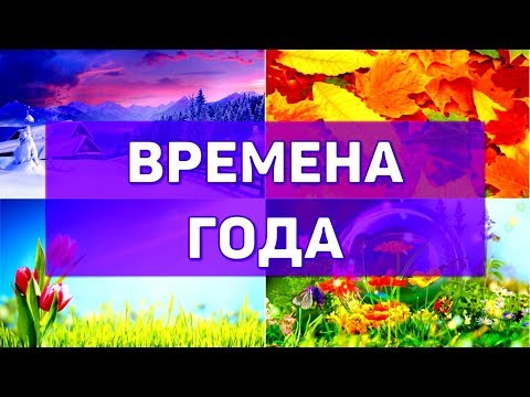 Видео: ВРЕМЕНА ГОДА для ДЕТЕЙ / Учим МЕСЯЦЫ года /  Развивающие видео для детей