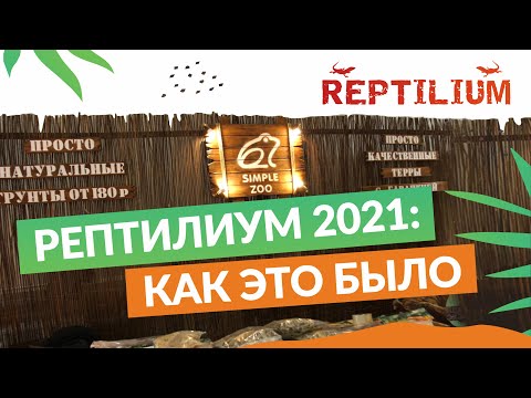 Видео: Рептилиум 2021: как меняется выставка и ее аудитория, новинки от Simple Zoo.