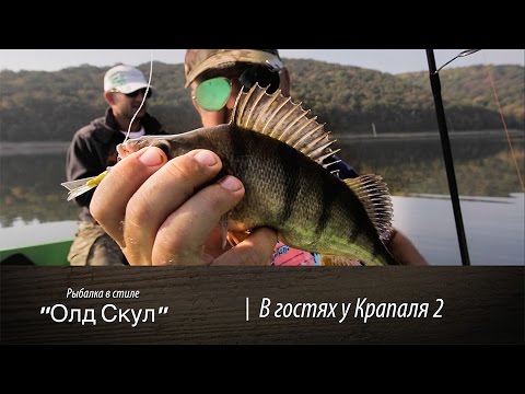 Видео: В гостях у Крапаля. №2 | ОлдСкул №28