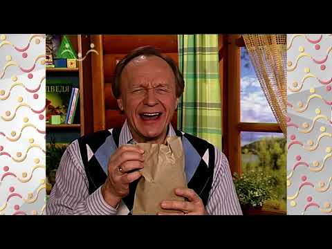 Видео: Шишкин Лес.  Не смейся над другими